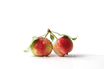 Wet red and yellow crab apples with leaf attached isolated on a white background.