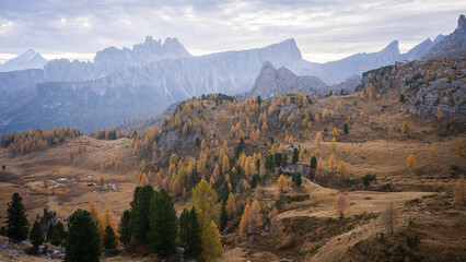 Alpine landscape during fall with golden larches and sharp mountains in background, Italy, Europe