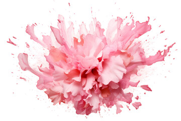 Pink Petals Explosion on a transparent background.