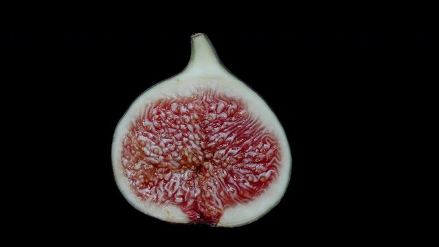 Half of a ripe and juicy Fig with red pulp, rotating on a black background. Isolated for cutting out.