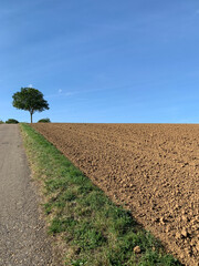 A plowed field along a strip of grass and an asphalt road against a background of blue sky in sunny...