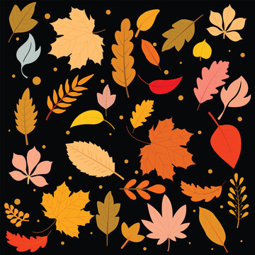 Colorful Leaves Background. Vector. Colorful autumn leaves border decorated by Oak, maple, elm dry fallen leaf on white background. Autumn background template with flying and falling leaves.