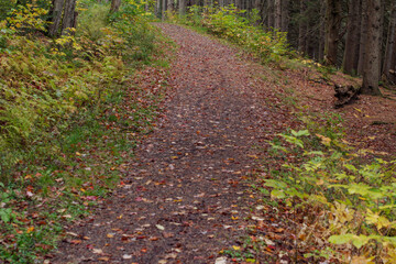 Marilla Reservior Bradford County Park