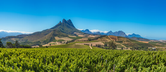 Beautiful landscape of Cape Winelands, wine growing region in South Africa. - 664039041