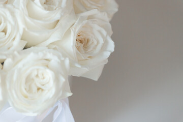 Obraz na płótnie Canvas White rose flower with dew drops closeup. Macro. Selectiv focus. For design. Nature. Background. Close up photo.