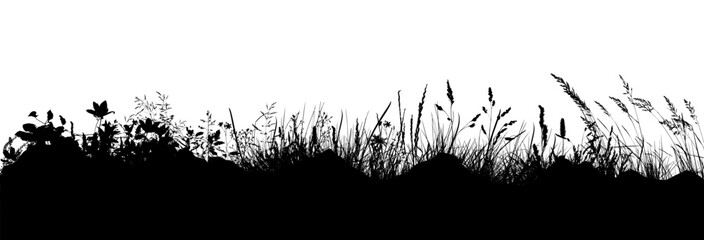 Black silhouette of grass. Skyline. Floral background. Wild grass. hand drawing. Not AI, Illustrat3 . Vector illustration.