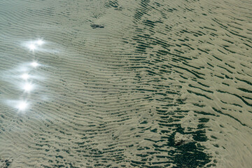 The bottom of the drying dead sea (Kuyalnik estuary, Odea region)