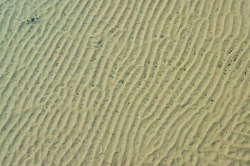 The bottom of the drying dead sea (Kuyalnik estuary, Odea region)