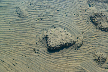 The bottom of the drying dead sea (Kuyalnik estuary, Odea region)