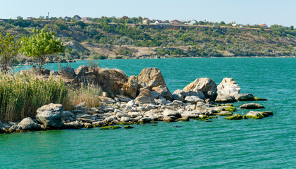 Natural landscape, green Enteromorpha algae on rocks near the shore of the Khadzhibey estuary