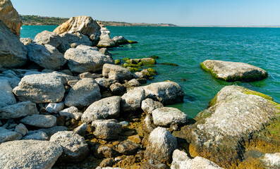 Fototapeta na wymiar Natural landscape, green Enteromorpha algae on rocks near the shore of the Khadzhibey estuary