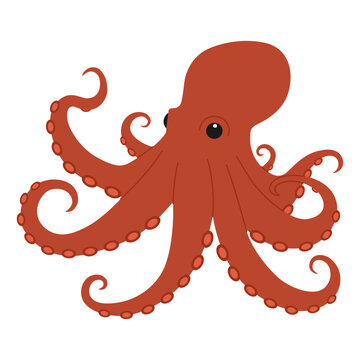 Cute red octopus. Sea and ocean animal predator. Underwater life. Childish character. Vector flat illustration isolated on white background