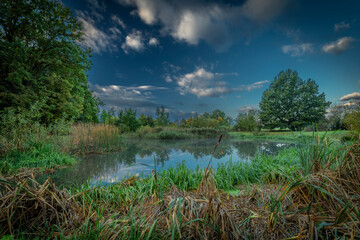 Small pond near Stromovka park with trees forest and pond Bagr in autumn morning