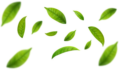 Realistic green tea leaves in motion - obrazy, fototapety, plakaty