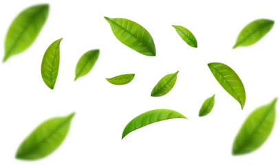 Foto op Plexiglas Realistic green tea leaves in motion © Rogatnev