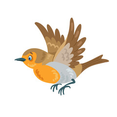 Red robin bird is flying. In cartoon style. Isolated on white background. Vector flat illustration.