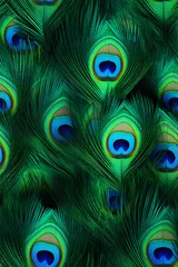 Rolgordijnen peacock feathers texture pattern seemless © Aldis