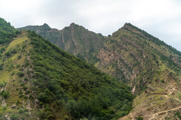 Fototapeta na wymiar Caucasian mountain. Dagestan. Trees, rocks, mountains, view of the green mountains. Beautiful summer landscape.