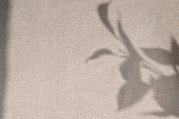 Natural floral sunlight shadow silhouette on neutral beige linen textile background. Minimalist...
