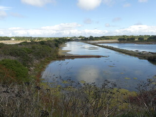 salins sauvages