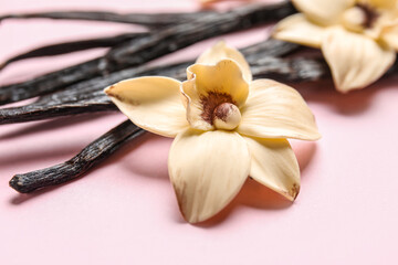 Aromatic vanilla sticks and flowers on pink background