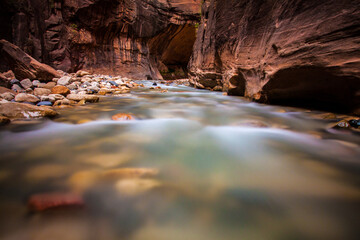 Water in Zion NP