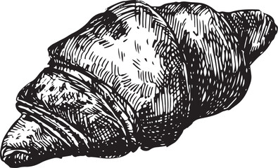 Vector graphic illustration of croissant . Black and white sketch on a white background. Suitable for logo, bakery design, wrapping paper