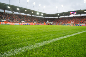 white line on the field soccer match in the background © Dziurek