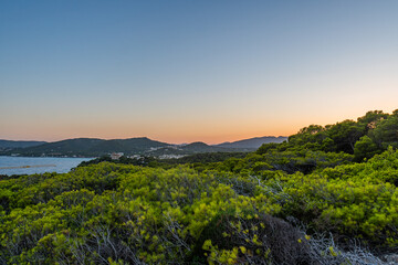 sunset at a wild forest near Christmafry's, a hiking area at cala ratjada on majorca island, spain