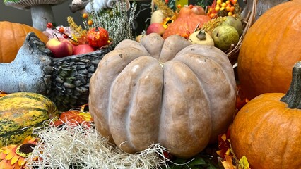 autumn background from pumpkin and fruits. Halloween, decoration from different types of pumpkins, apples, pears and hay