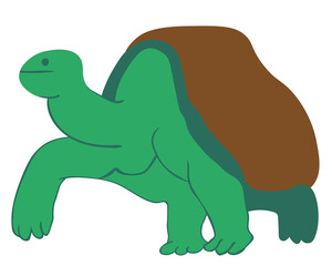 turtle in vector. wild animal in flat style. Template for poster logo icon for app website. Series of animal images in flat style