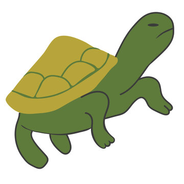 turtle in vector. wild animal in flat style. Template for poster logo icon for app website. Series of animal images in flat style