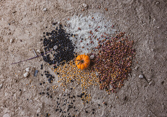 grains on the ground