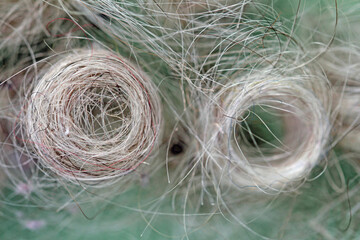 Roller brushes from vacuum cleaning robot with hairs
