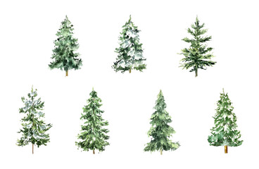 Christmas tree watercolor winter illustration natural