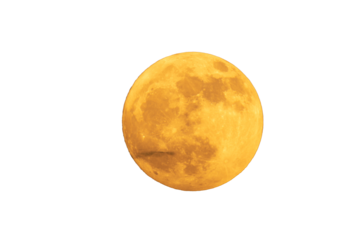 Full orange moon. Super moon see with a telescope, the craters of the moon can be seen