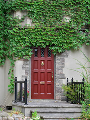 front door surrounded by ivy