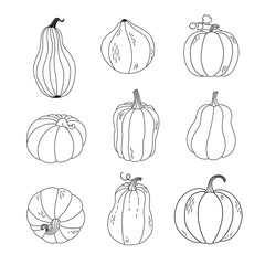 Hand-drawn set of pumpkins on a white background.
