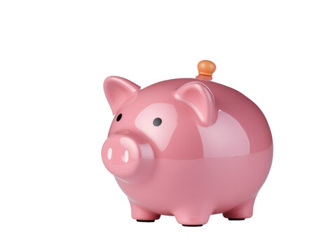 pink pig on a white background. piggy bank