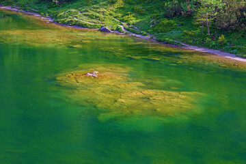 Gaisalpsee - Oberstdorf - Wasser - grün - Bergsee 