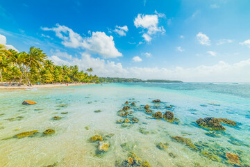 Clear water in La Caravelle beach in Guadeloupe