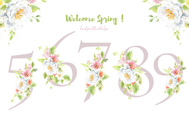 Watercolor Spring Easter Floral Number set, dusty rose  digit spring flowers,tulip. Floral element for invitation, easter, baby shower, birthday, table number, new baby is turning card, greetings	