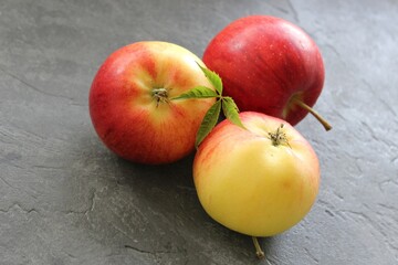 dark background with juicy red-yellow apples. Nature abstract background. ripe apples, beautiful background texture, vitamins