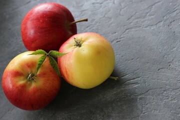 dark background with juicy red-yellow apples. Nature abstract background. ripe apples, beautiful background texture, vitamins