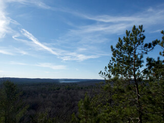 Fototapeta premium Clouds in Sky of Forest Horizon