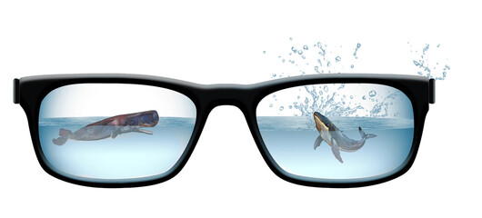 A humpback whale and a sperm whale are seen water behind the lenses of a pair of eyeglasses in a 3-d illustration about whale watching. It is isolated on a white background.