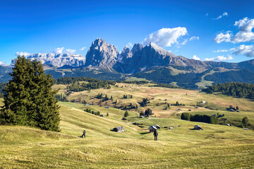 Iconic panorama of Sassolungo - Langkofel mountain group in autumn at Seiser Alm Alpe di Siusi, Dolomites, South Tyrol, Italy - obrazy, fototapety, plakaty