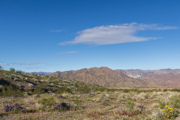 Fototapeta na wymiar Lake Mead National Recreation Area