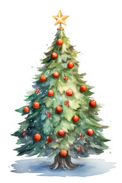 Watercolor Christmas tree illustration.