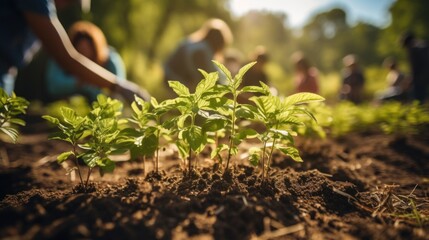 Community collaboration in eco-friendly gardening